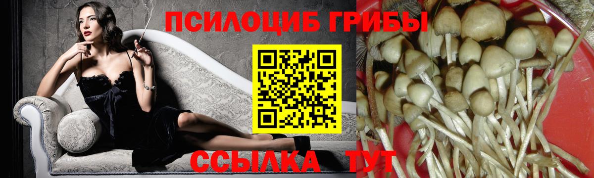 Асбест  Галлюциногенные грибы Psilocybe  Вход с VPN 